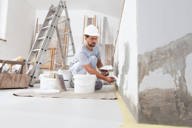 Best Post-Construction Mold Inspection  in Reminderville, OH